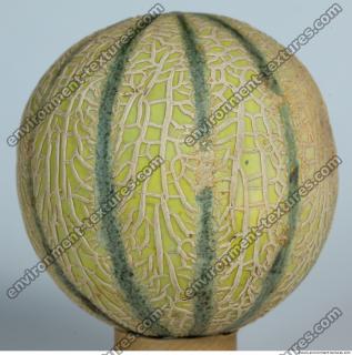 Melon Galia 0004